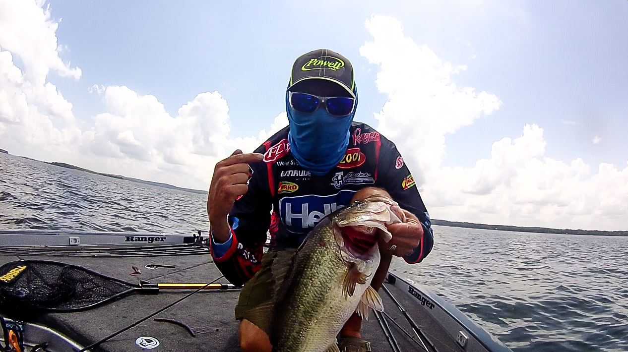 A Wild Day With Wesley 