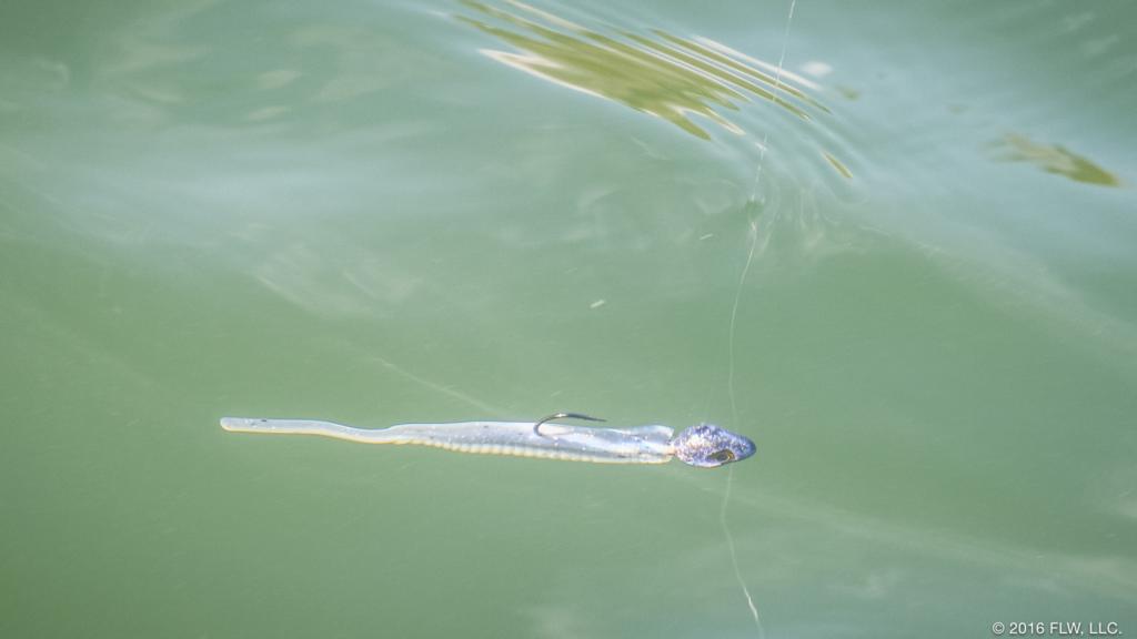 Fishing the Damiki Rig in Winter FLW Fishing Articles